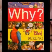 Image of Why? Bird Burung